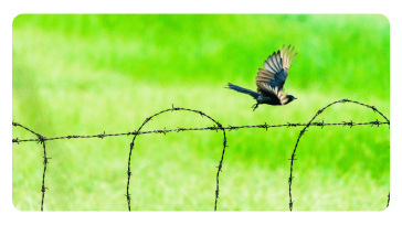 Strategy Update | 3 reasons to move off the fence in 2026